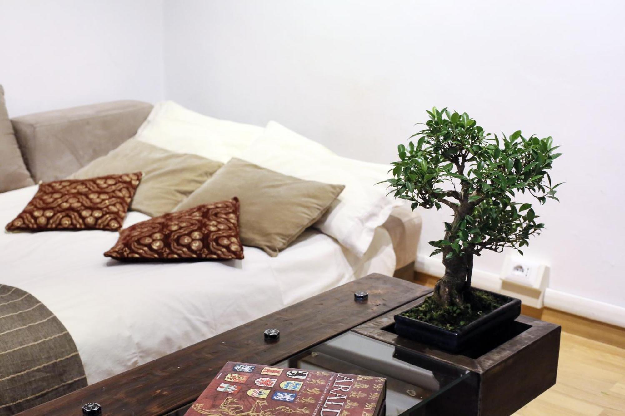 Home Domus Borgo Pio - San Pietro Rome Luaran gambar